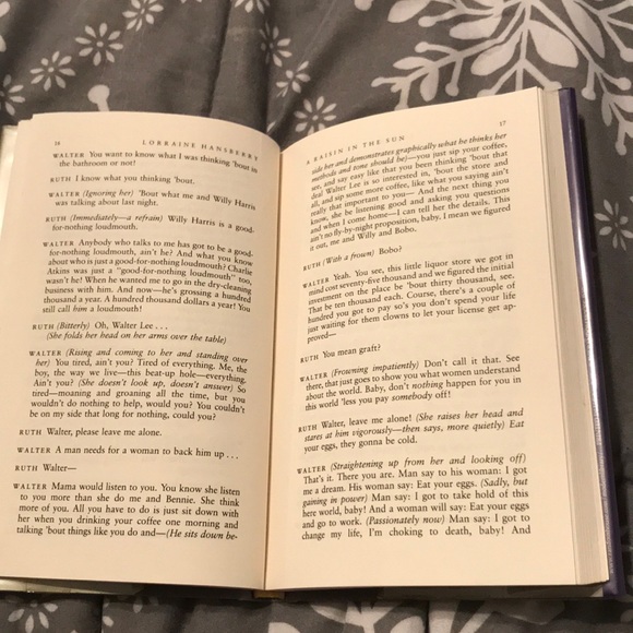 A Raisin In The Sun - Picture 2 of 4